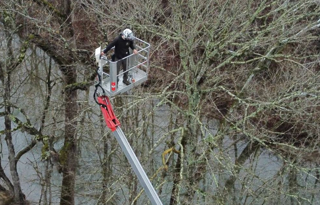 Expert Tree Trimming & Pruning in Bonsack, VA