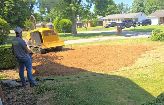 Efficient Stump Grinding & Removal in Boones Mill, VA