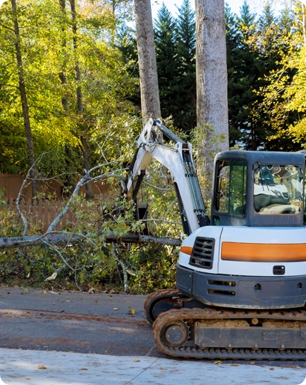 Prompt Debris Removal Service in Delano, CA