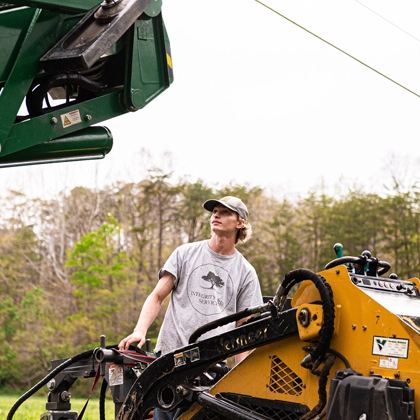 Expert Tree Care Services in Hollins, VA