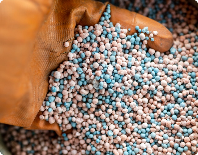 Professional Fertilization