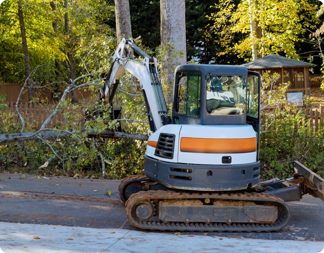 Professional Debris Removal